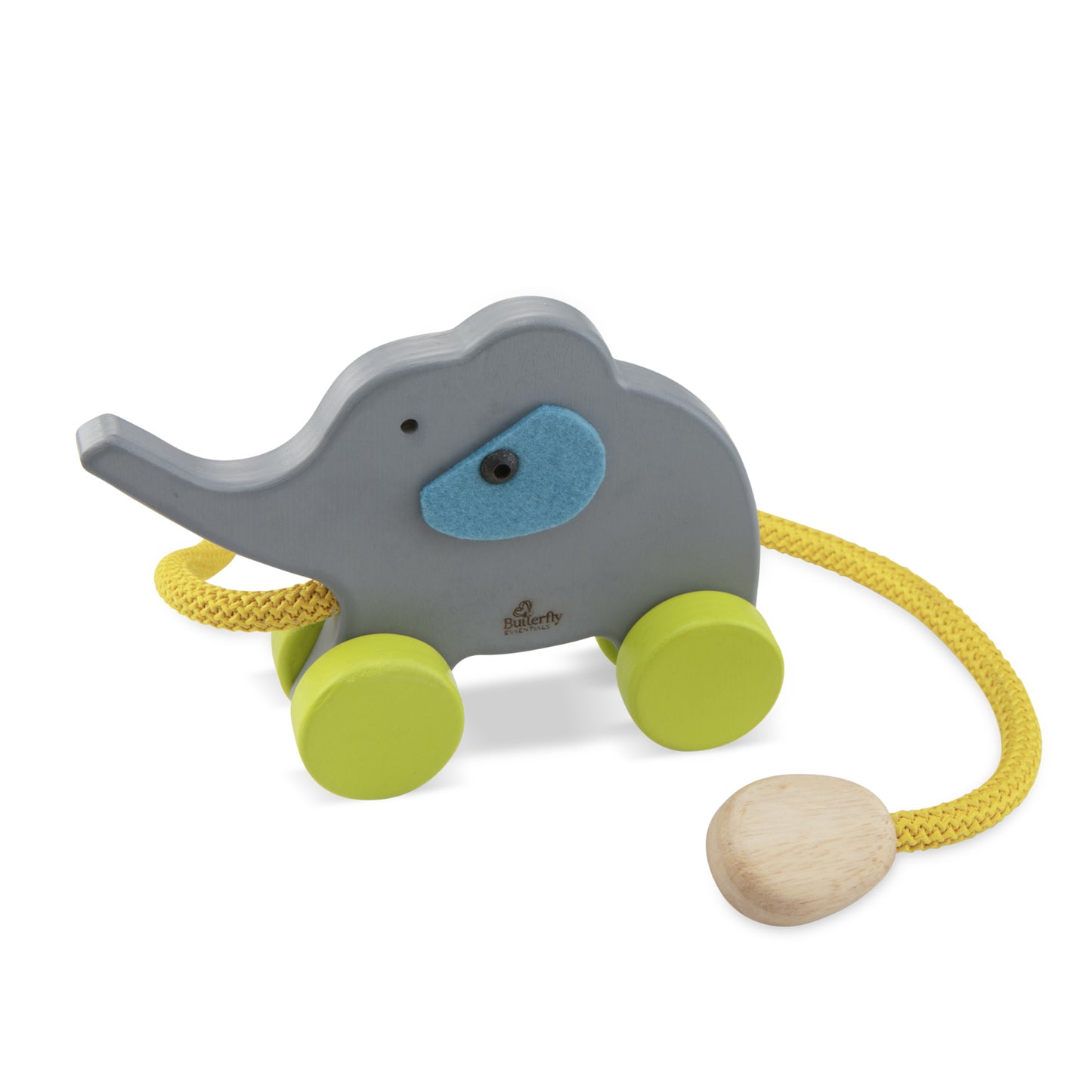 Elephant With Rope