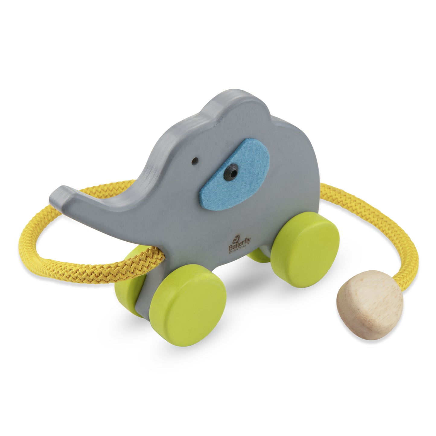 Elephant With Rope