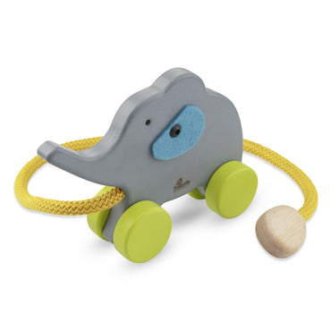 Elephant With Rope